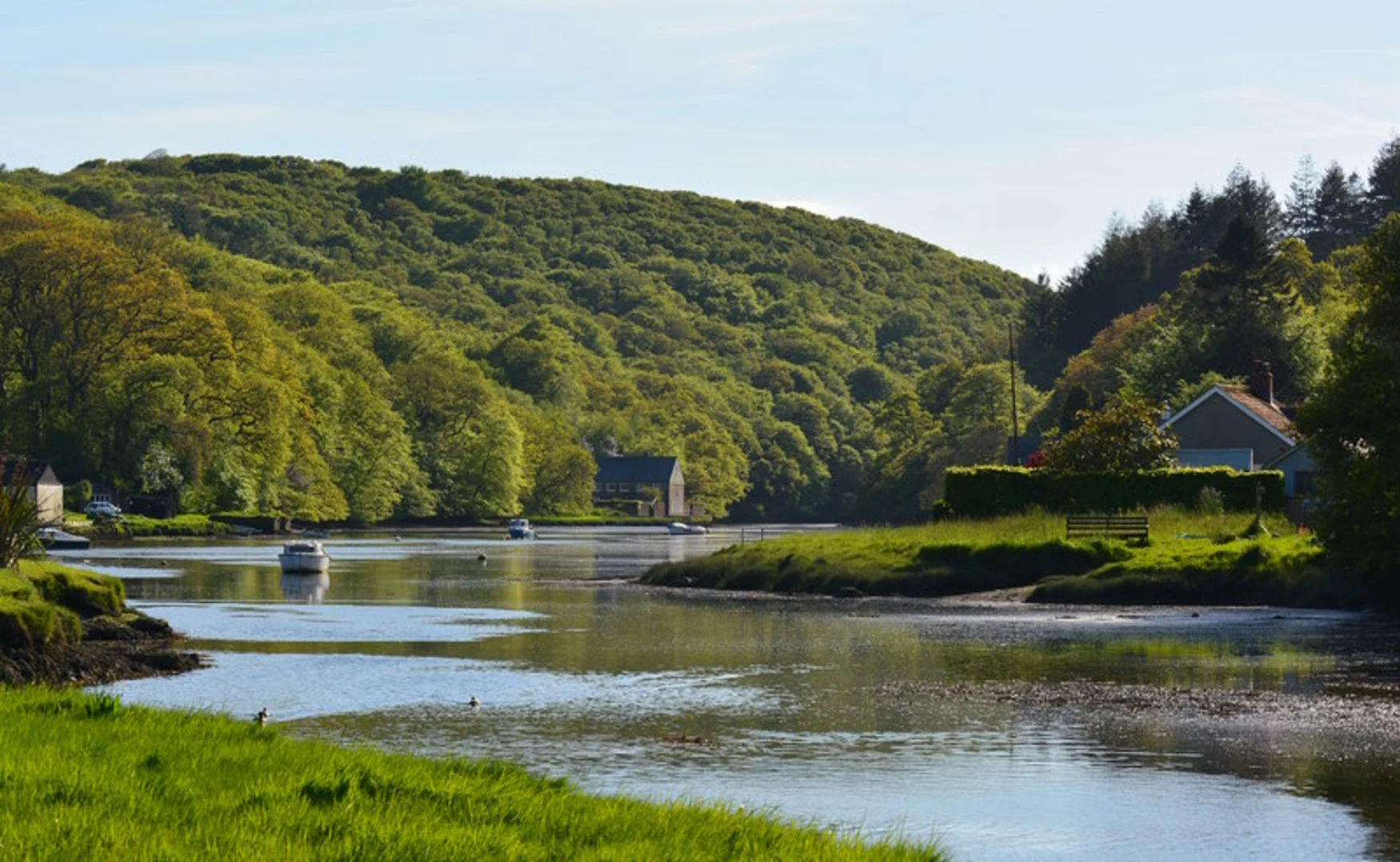 An image depicting the trail Lerryn Loop and its surrounding area.