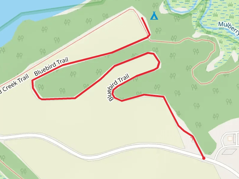 Bluebird Trail