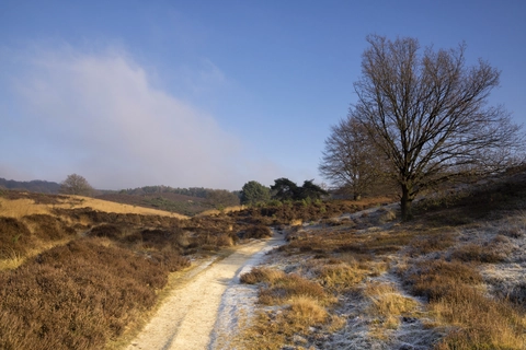Groote Emmer, Bremberen and Lappendeken Loop