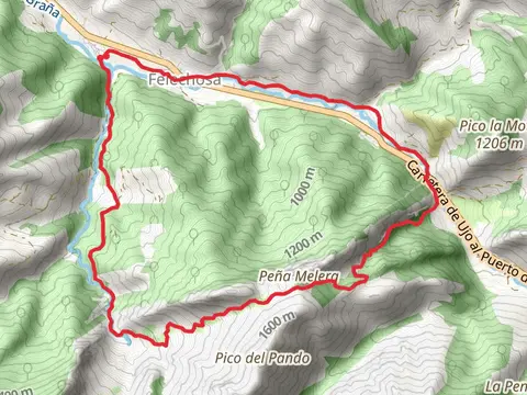 Foces del Pino