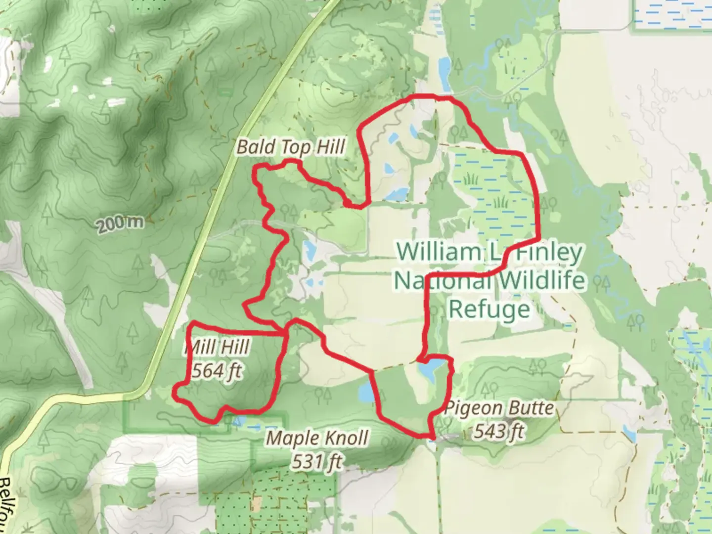 An image depicting the trail Woodpecker, Mill Hill and Cattail Pond Loop Trail and its surrounding area.