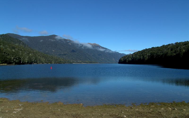 Lake Monowai Peninsula Lookout Track