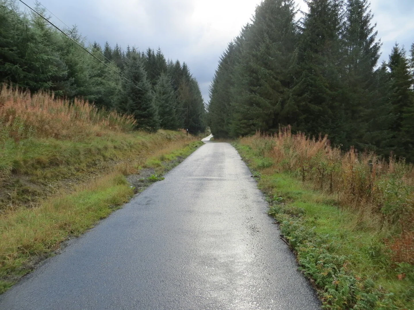 An image depicting the trail Burnside Trail and its surrounding area.