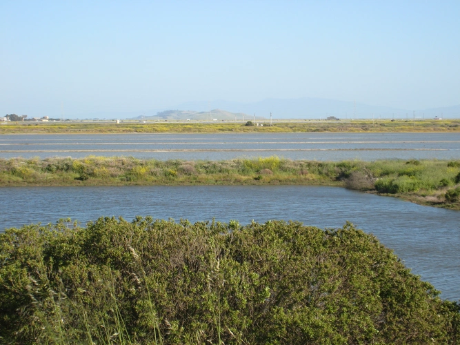 San Francisco Bay Trail - West Winton Avenue