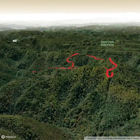 Neely Knob Rd and Trail