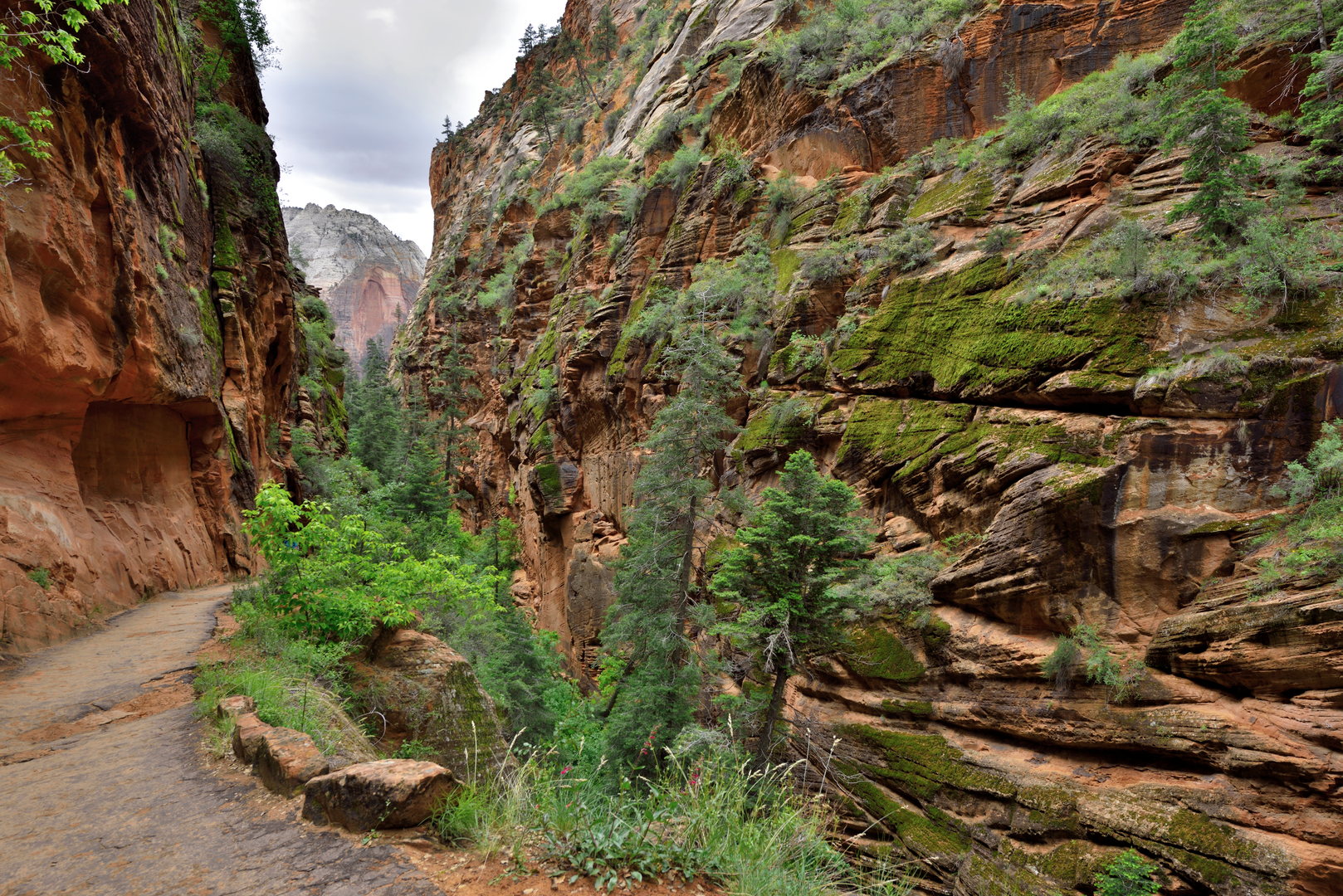 An image depicting the trail West Rim Trail and its surrounding area.