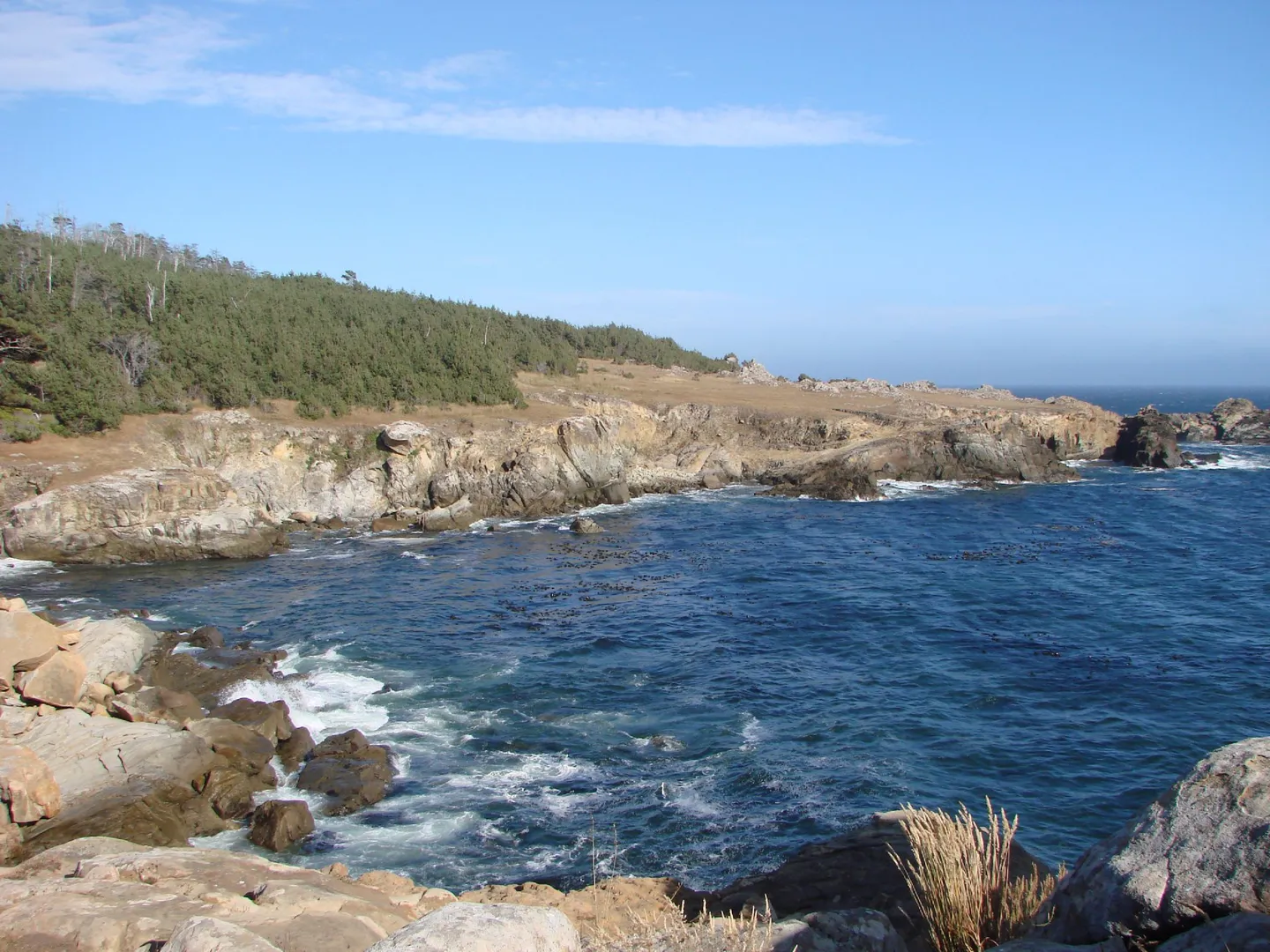 An image depicting the trail Gerstle Cove and its surrounding area.
