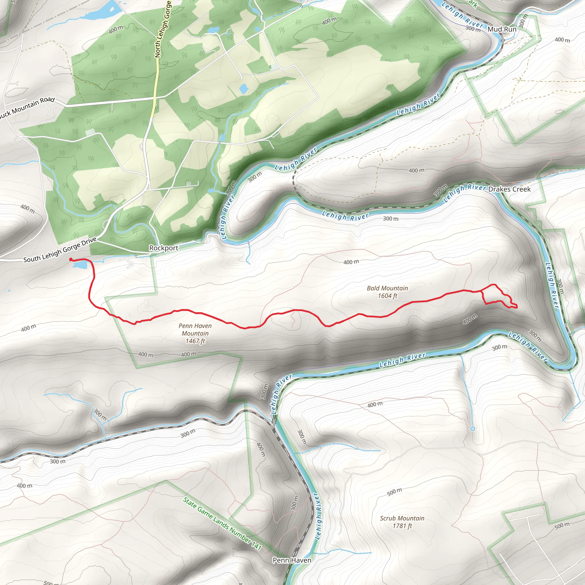 Bald Mountain mobile static map