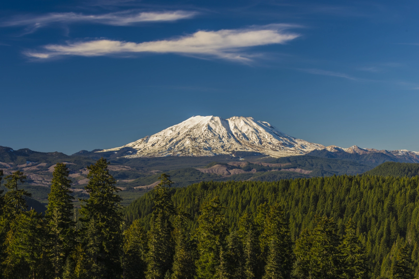 An image depicting the trail Pine Martin Trail and its surrounding area.