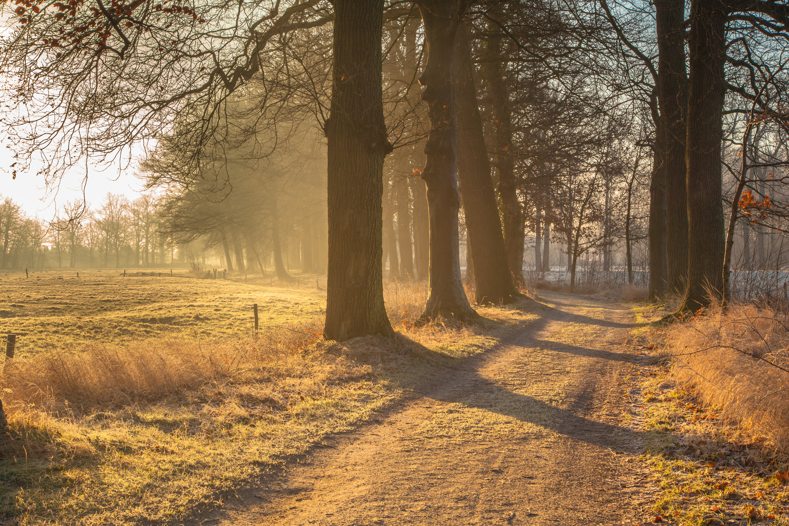 An image depicting the trail De Borgstee, Huis De Duinen and Friesche Veen Loop and its surrounding area.