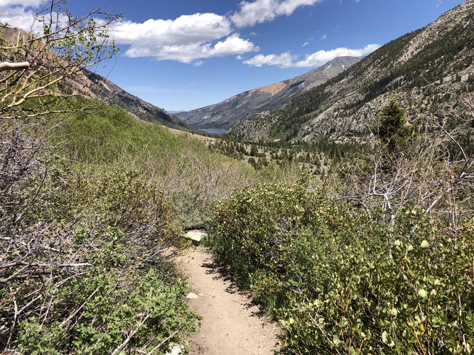 Barney Lake via Robinson Creek Trail