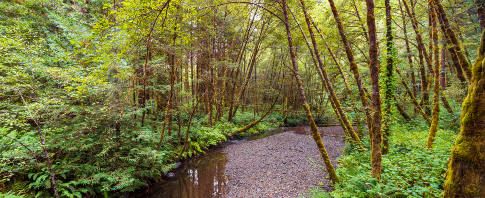 An image depicting the trail Geneva Road Trail and its surrounding area.