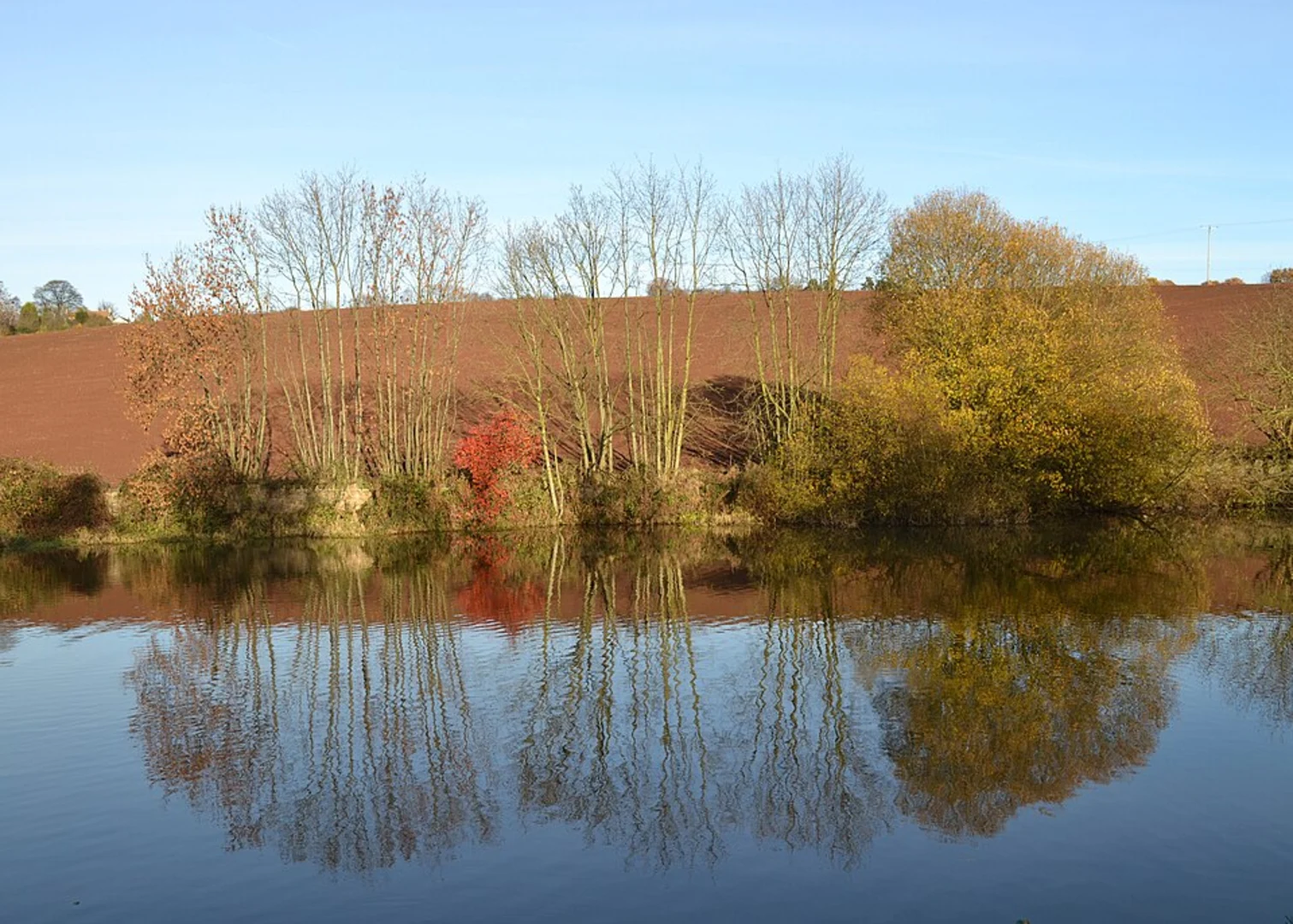 An image depicting the trail Ulley Reservoir and Country Park Walk and its surrounding area.