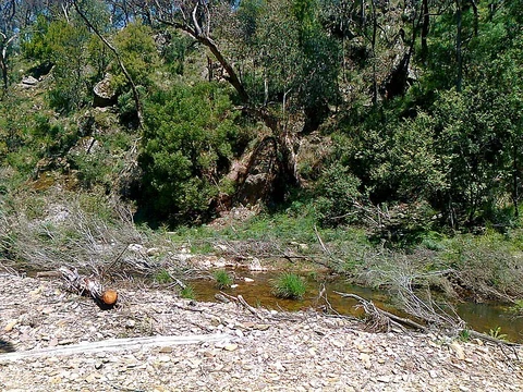 East Walk and Cowan Track