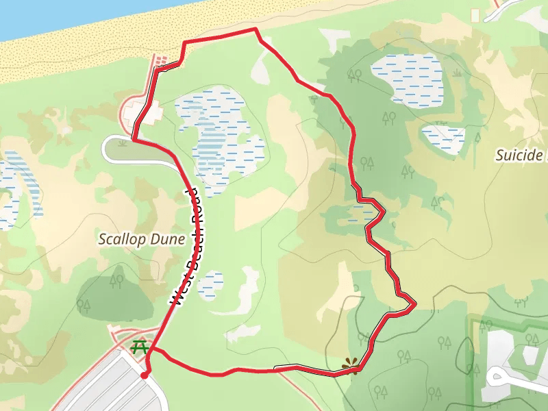 Dune Succession Loop Trail