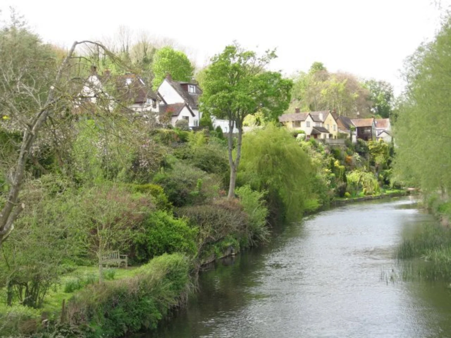 An image depicting the trail Spetisbury Loop and its surrounding area.