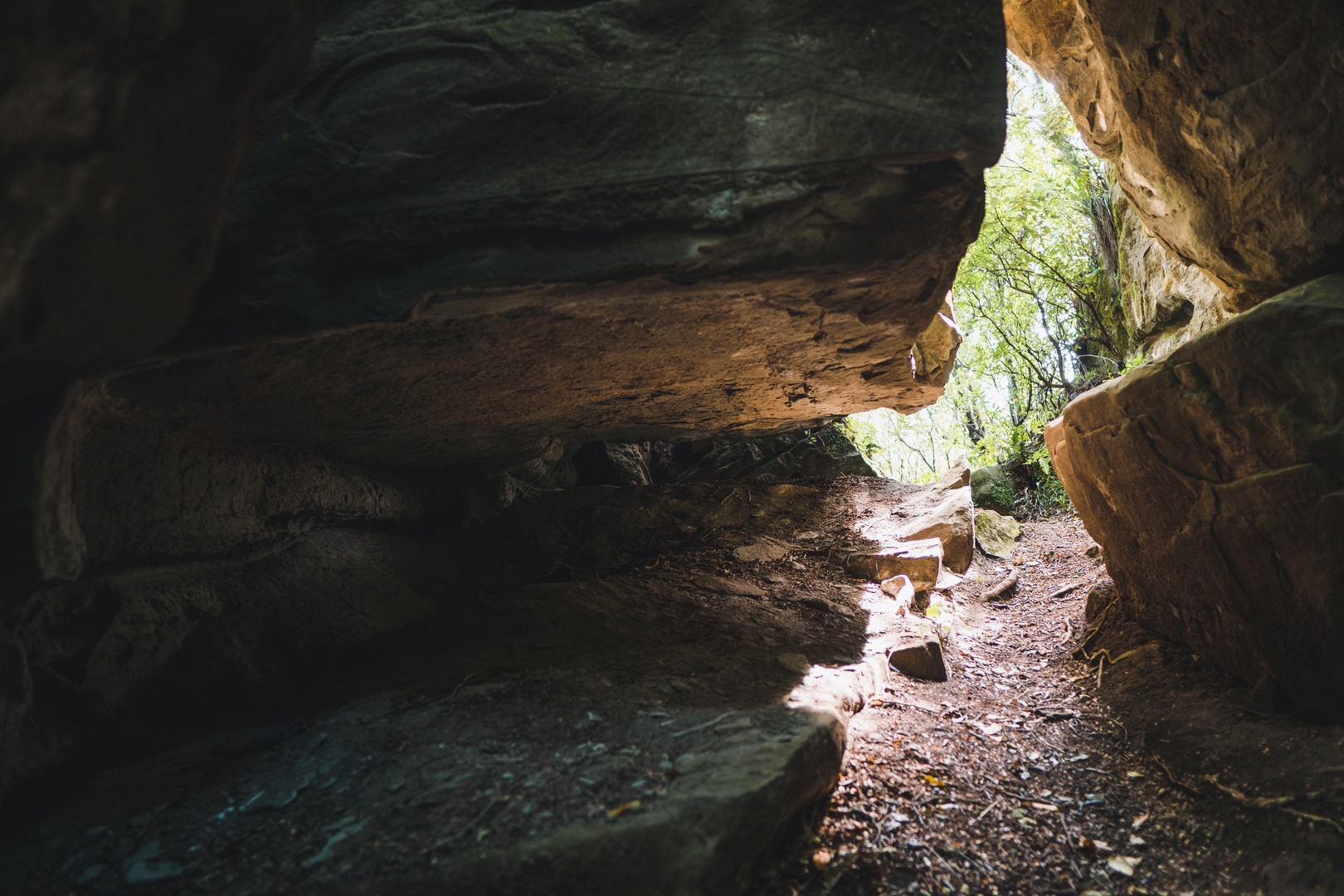 An image depicting the trail Onepoto Caves Track and its surrounding area.