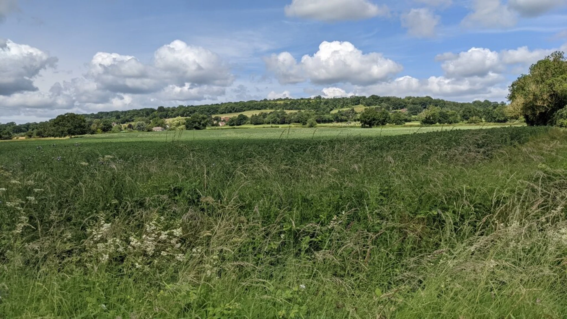 An image depicting the trail Pudford Hill and Kingswood Loop and its surrounding area.