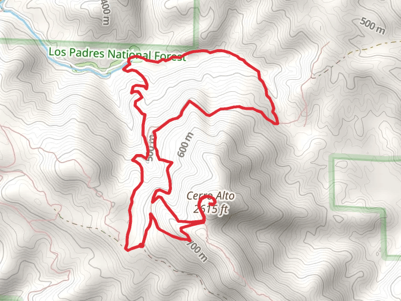 Cerro Alto Loop Trail