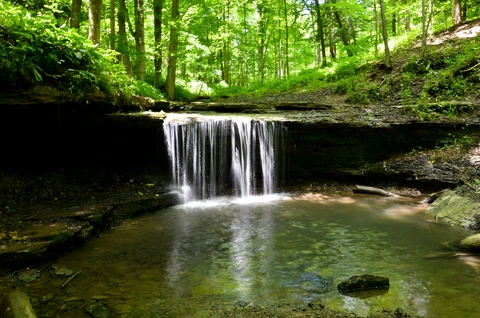 Lintons Run via Red Trail