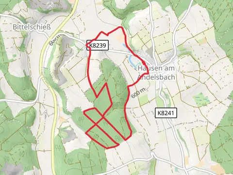 Hausen am Andelsbach Loop