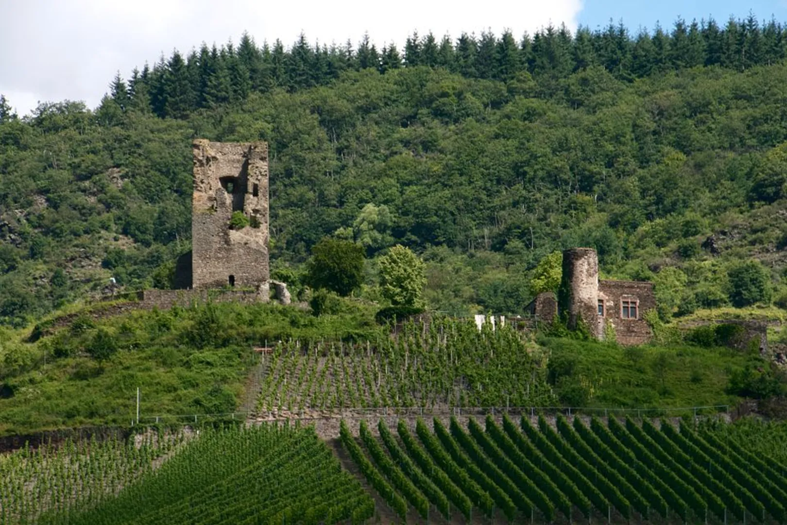 An image depicting the trail Aussicht Pinnerkreuz, Coraidelstein Loop via Moselsteig and Stadionstraße and its surrounding area.