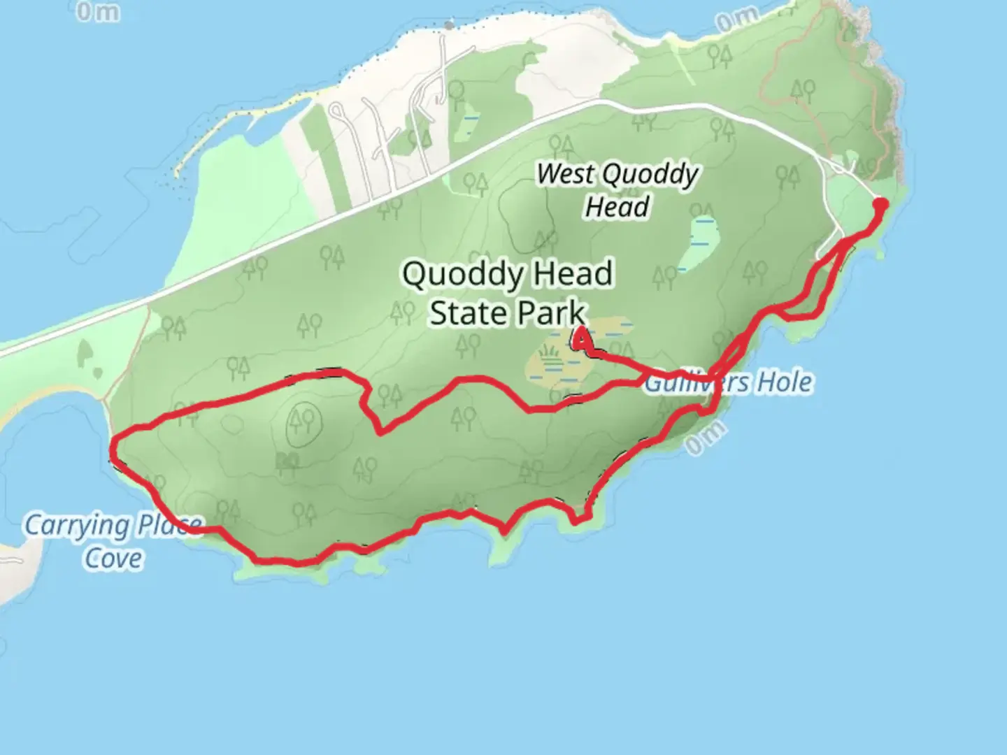 An image depicting the trail Quoddy Head Loop from Quoddy Head Road and its surrounding area.