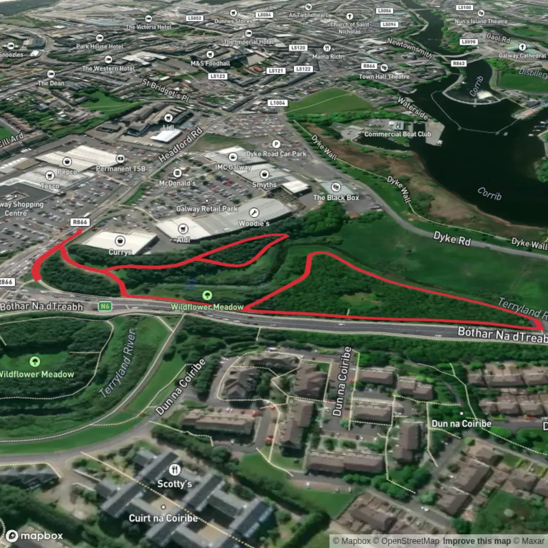 An image depicting the trail Terryland Forest Park Green Loop and its surrounding area.