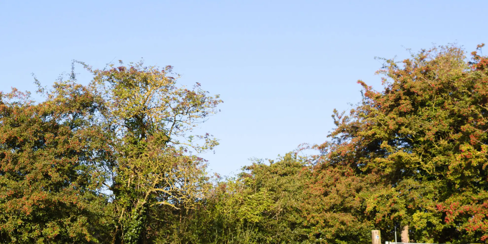 An image depicting the trail Johnson Silver Lincs Way and its surrounding area.