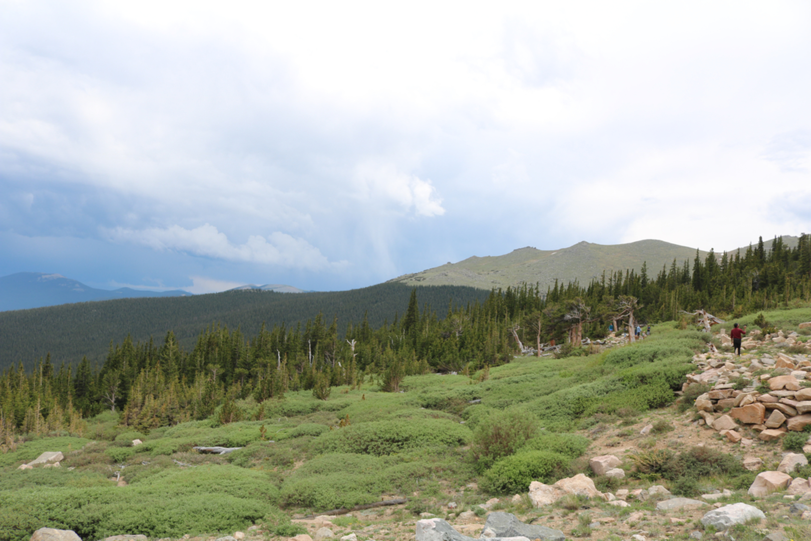 An image depicting the trail M Walter Pesman Trail and its surrounding area.