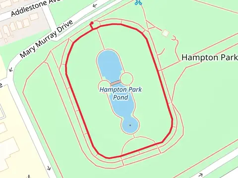 Hampton Park Pond Loop