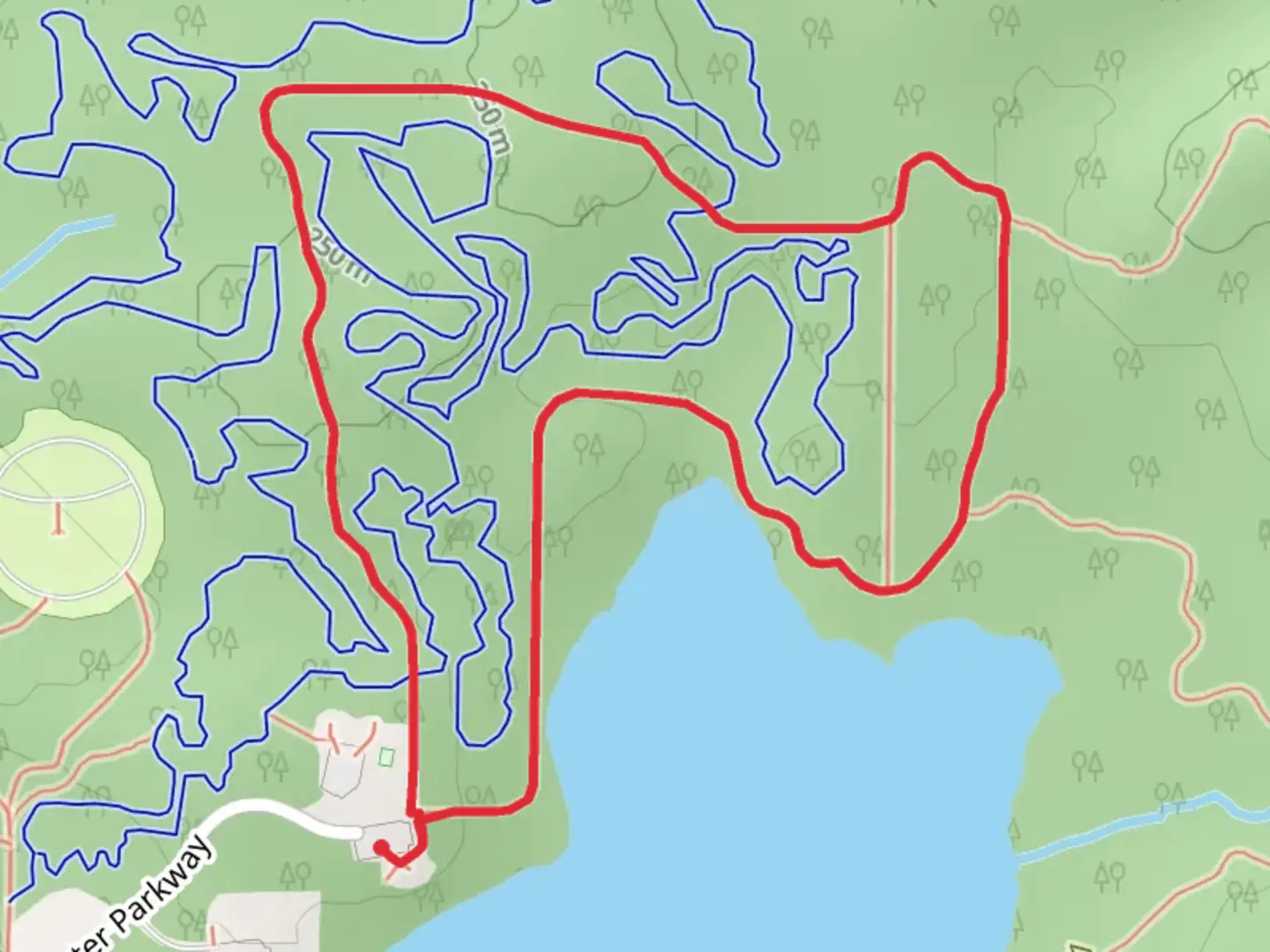 An image depicting the trail Trail 1 Loop and its surrounding area.
