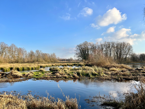 Stroinkslanden via Horsterveld Weg and Bredel Weg