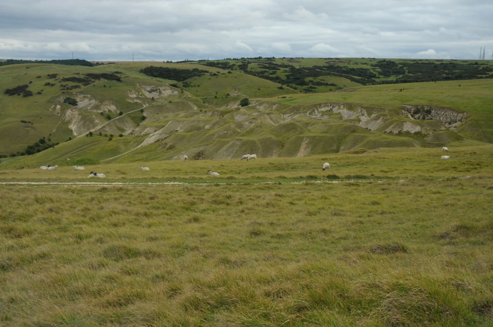 An image depicting the trail Cleeve Hill and Common and its surrounding area.