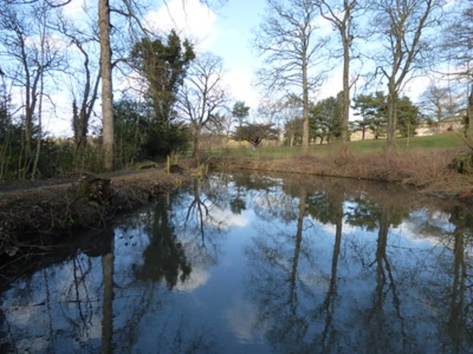 Leasowes Park and Coombswood Valley Black Country Geosite Loop