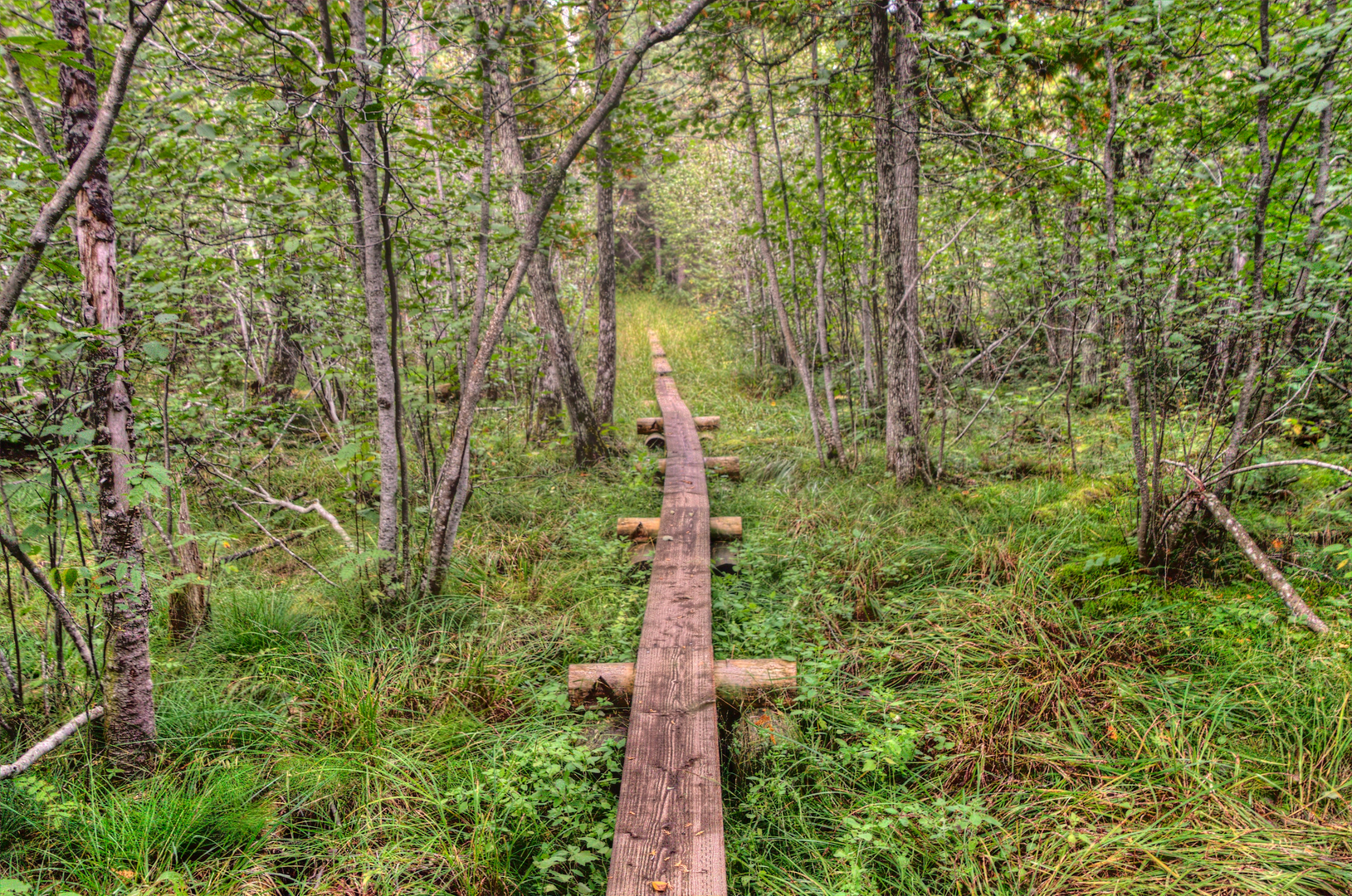 An image depicting the trail Minong Ridge Traverse and its surrounding area.