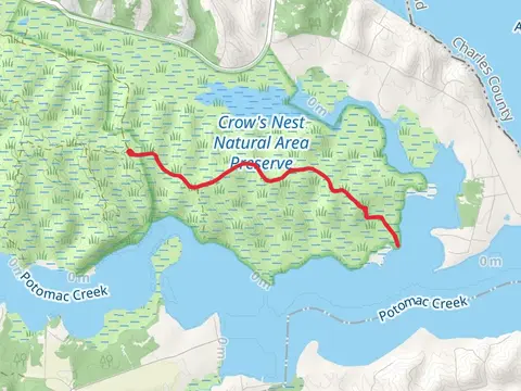 Crow's Nest Point