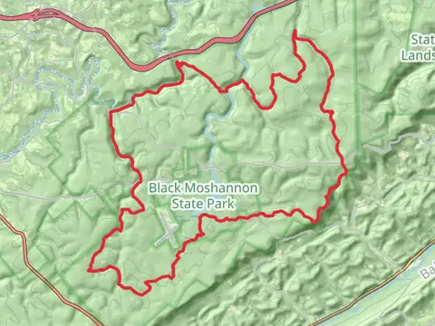 Beaver Mills, Rock Run and Moshannon Creek Loop