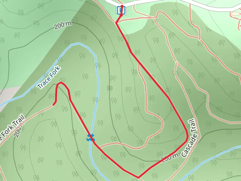 Trace Fork