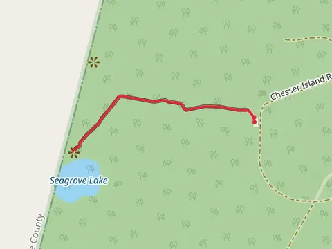 Seagrove Lake - Chesser Island Boardwalk