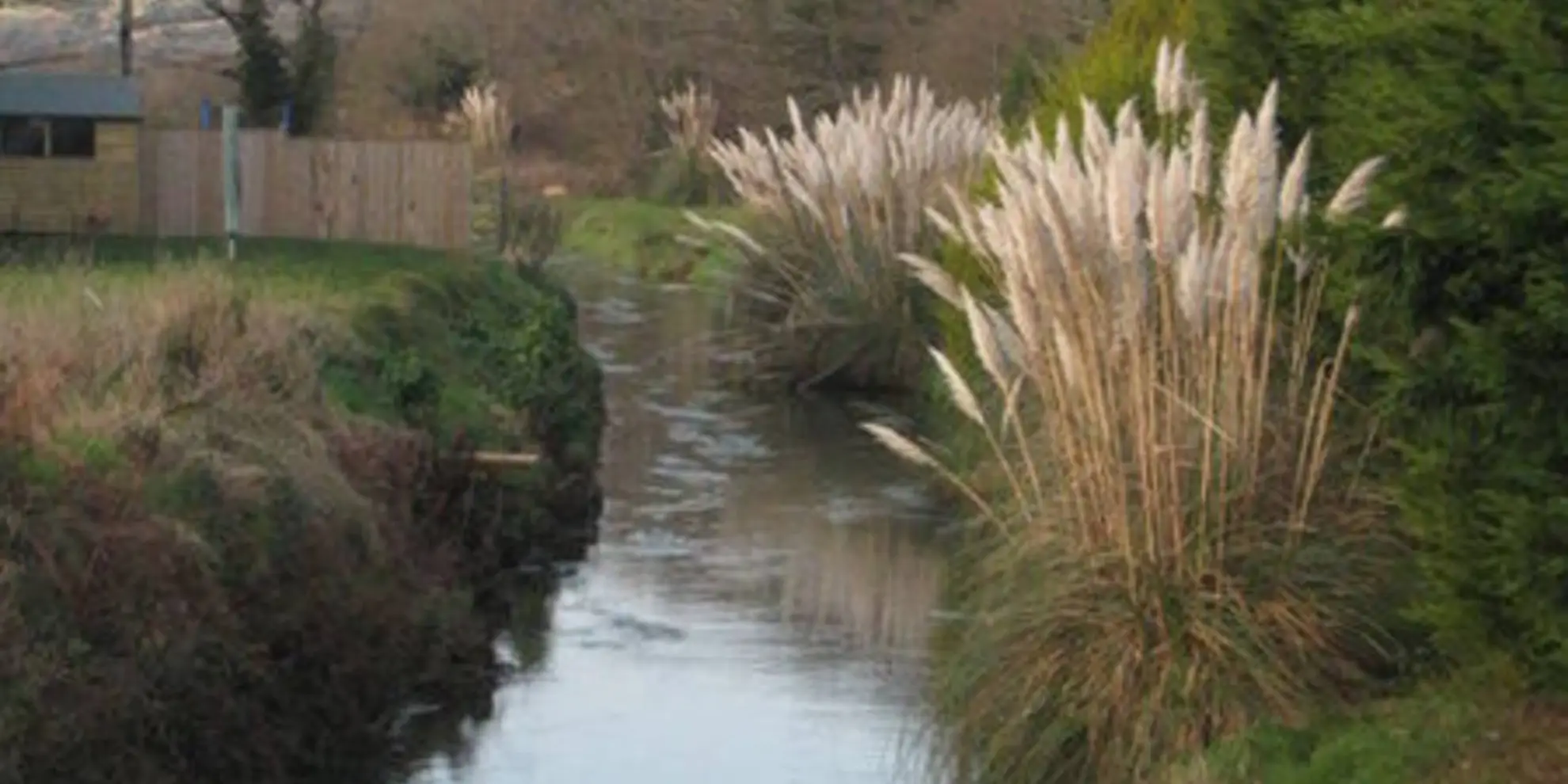 An image depicting the trail Godolphin River Walk and its surrounding area.