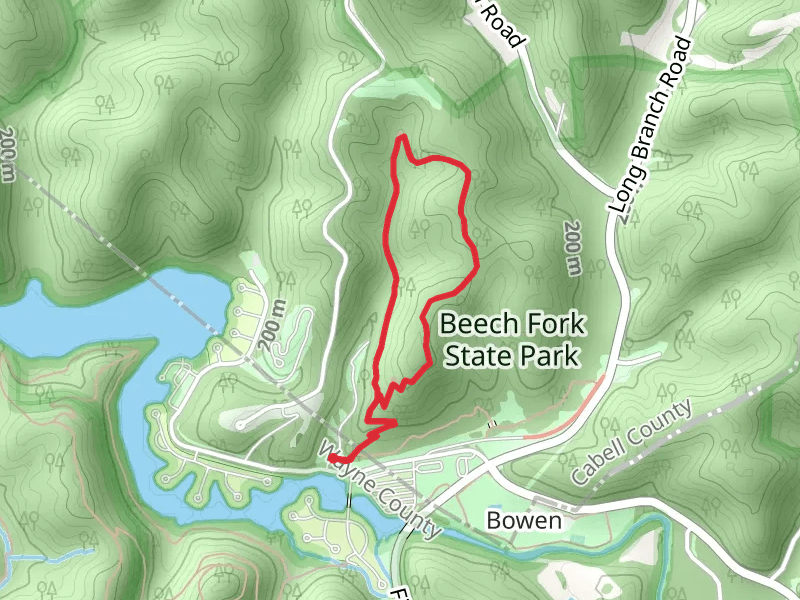 Overlook Trail Loop