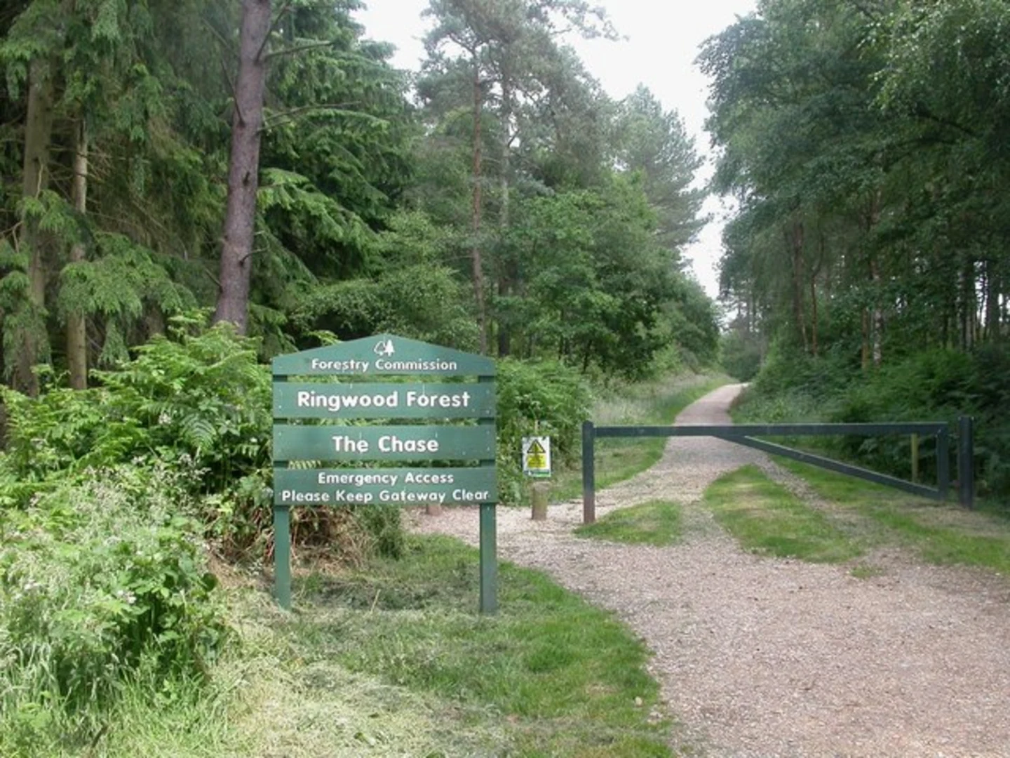 An image depicting the trail Ringwood Forest Loop and its surrounding area.