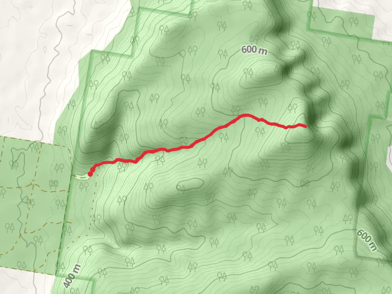 Basin Gully to Eualdrie Lookout Track