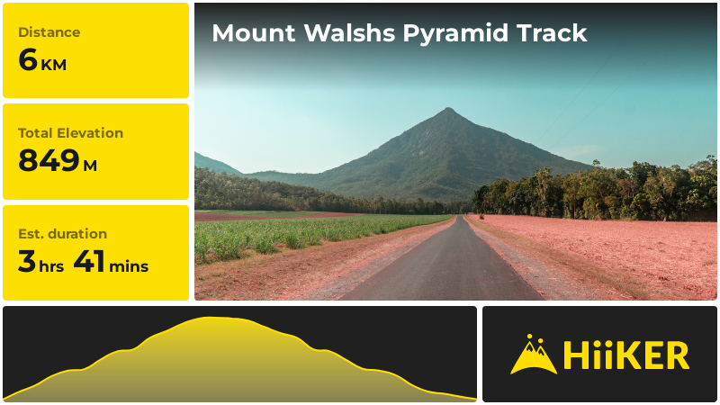 Mount Walshs Pyramid Track | Gordonvale | Queensland