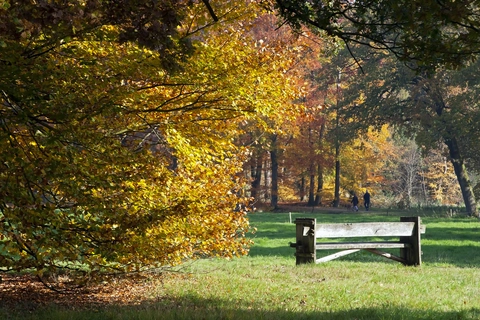 Deldenerzijde, Burensche Veld and Arboretum Loop
