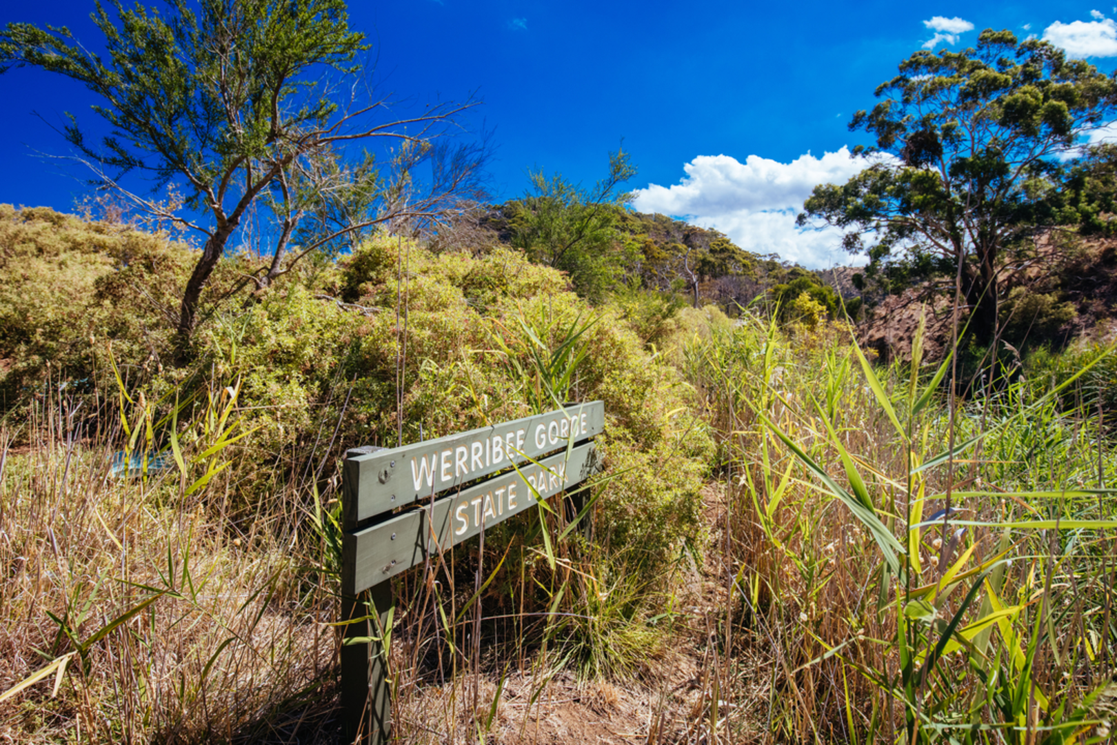 An image depicting the trail Centenary Walk and The Island and its surrounding area.