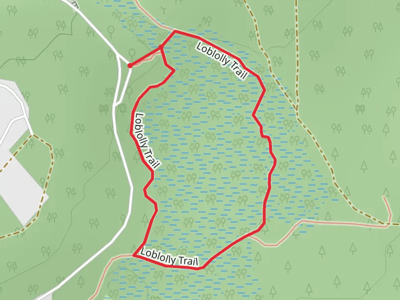 Loblolly Loop Trail