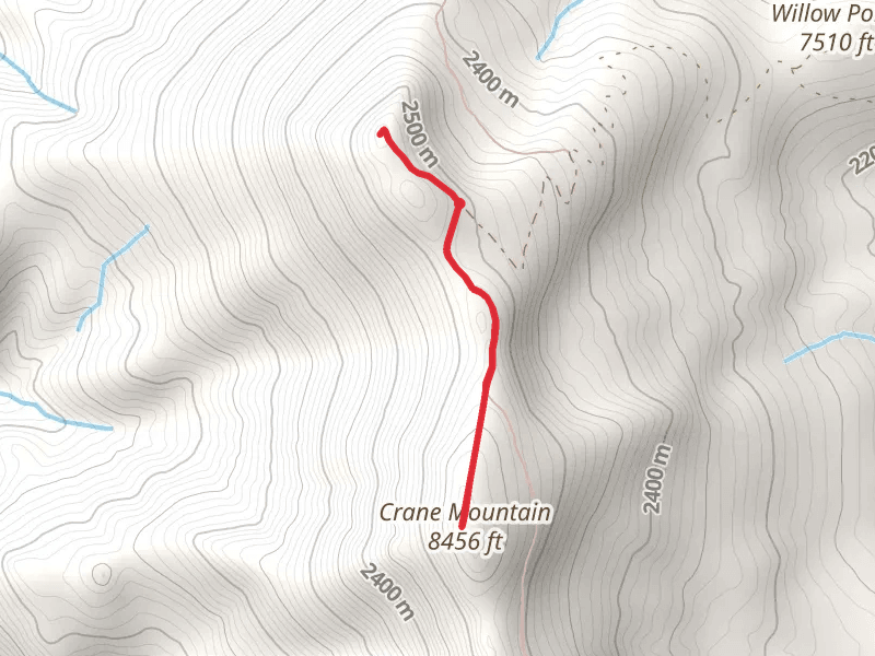 Crane Mountain Walk