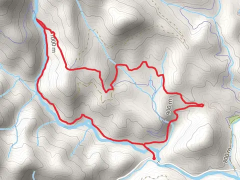 Daniel Ridge and Lanning Ridge Loop